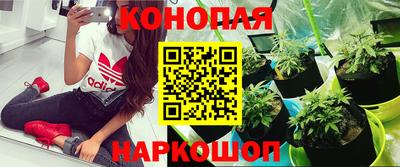 мяу мяу кристалл Можайск