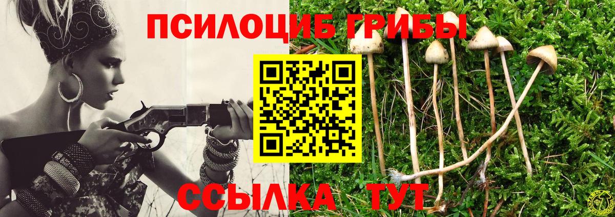 Псилоцибиновые грибы MAGIC MUSHROOMS  Вход с VPN  Псилоцибиновые грибы мухоморы  Ярцево 