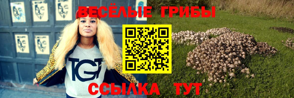 Псилоцибиновые грибы Cubensis Ярцево
